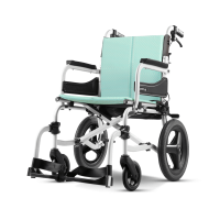 飛揚 215 飛揚 215